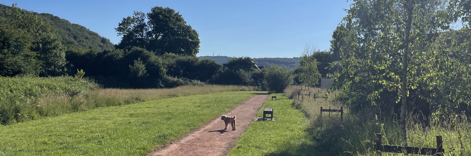 rachel mainwaring banner