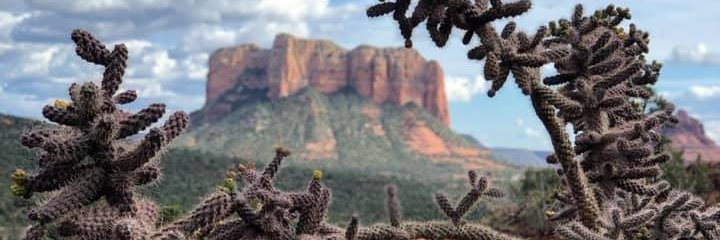 clbechard's profile banner image