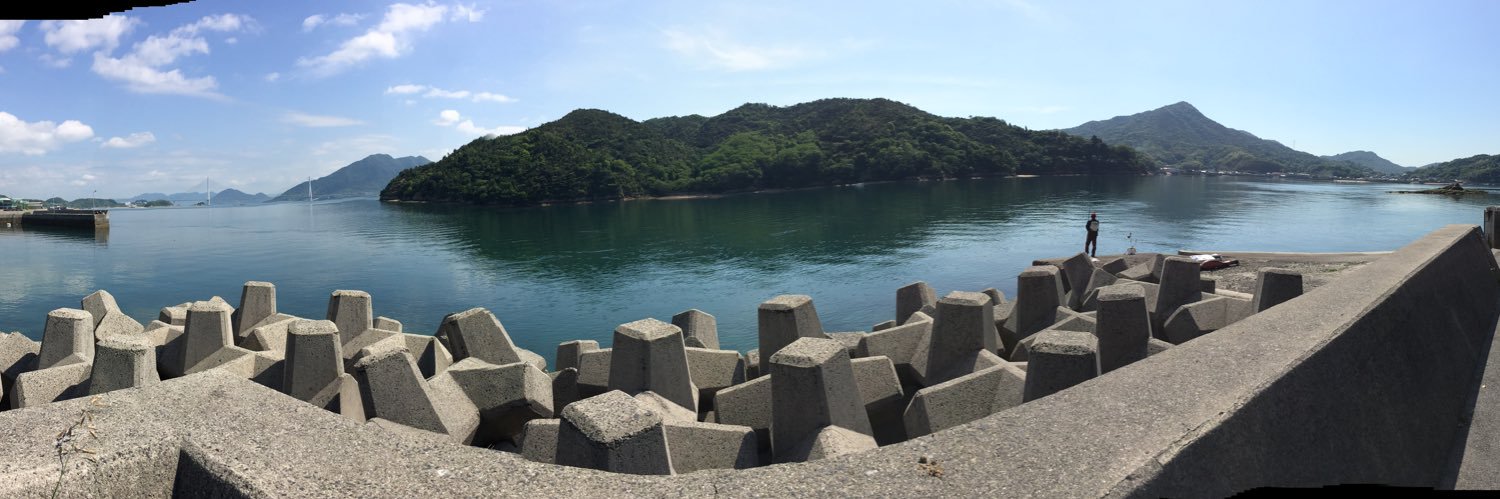 bess anderson banner