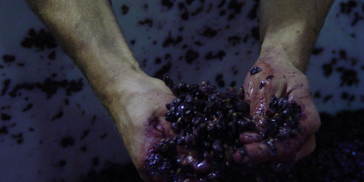 CORE family winery banner