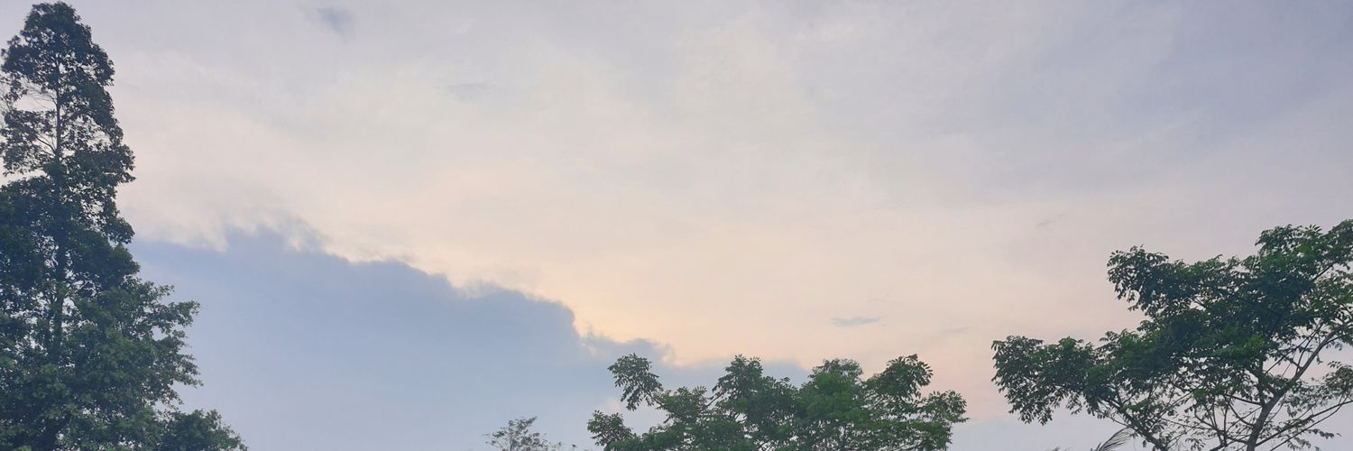 JeaneLiang's profile banner image