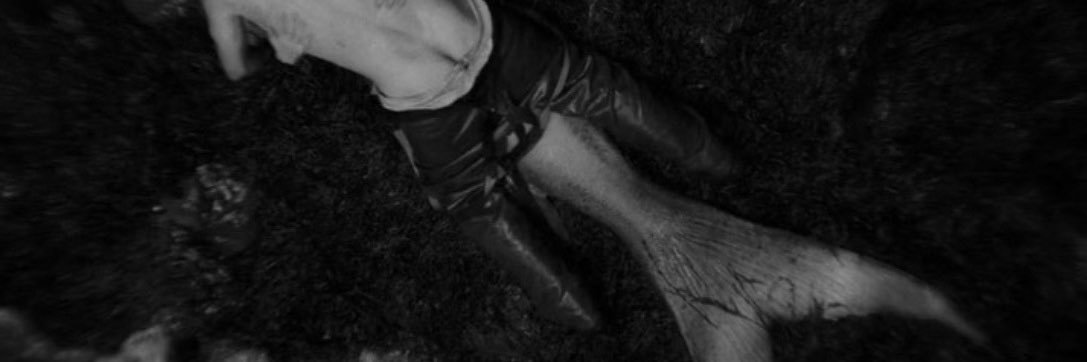 Mermaid28s's profile banner image