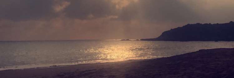 Zoe Middleton-Lyons banner