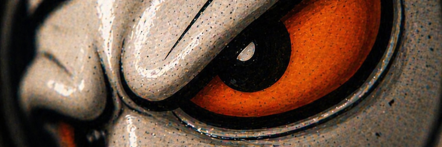 SALT banner