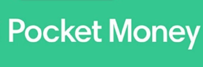 POCKET MONEY banner