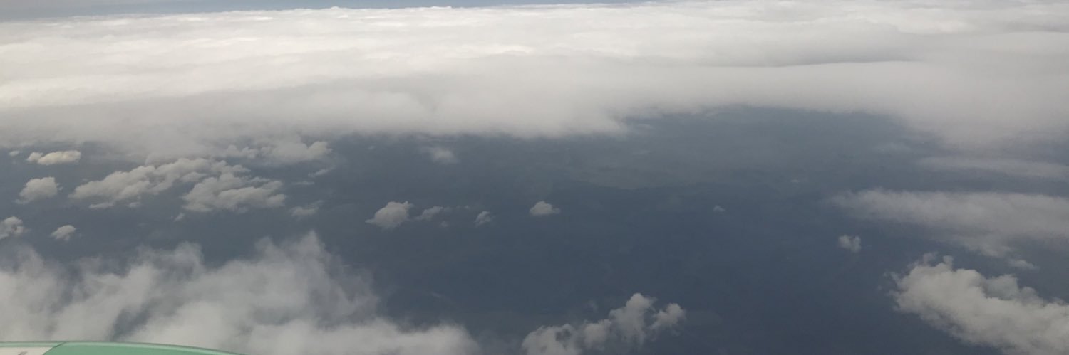 M3LLZ banner