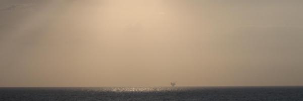 ScottSAS_87 Profile Banner