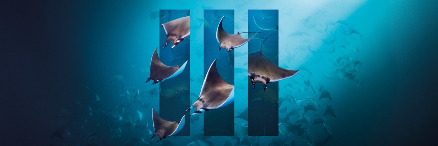 Will 💙💚 banner