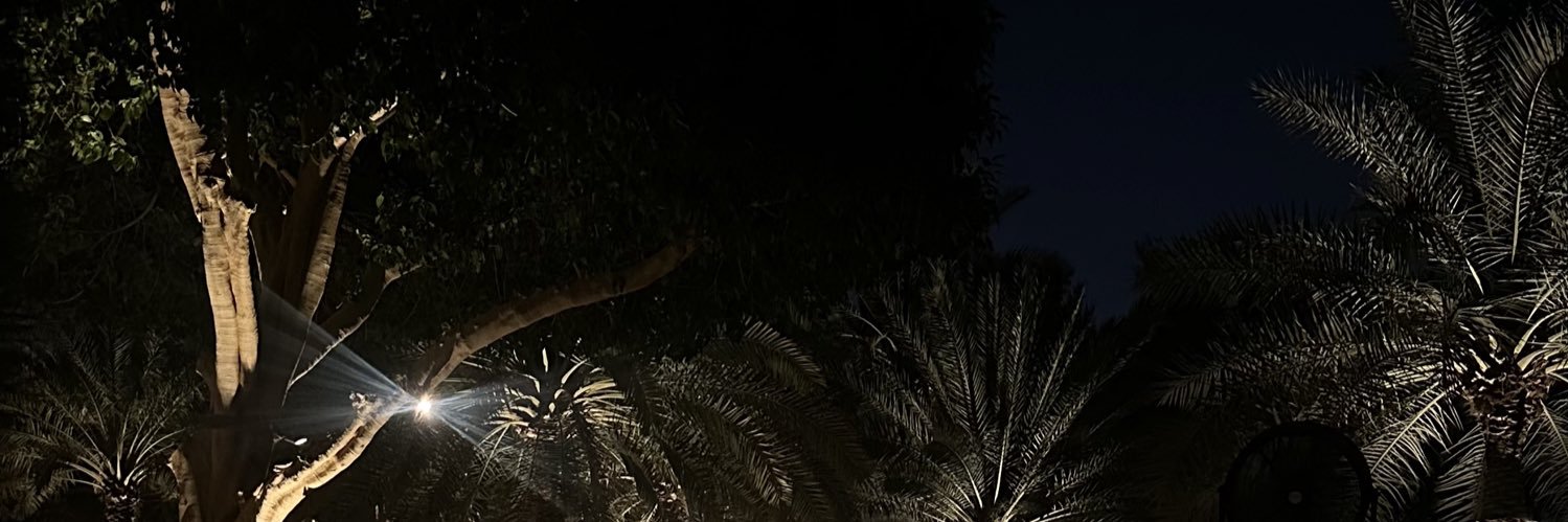 🌺 banner