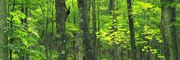 jerrymander123 Profile Banner