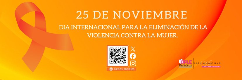 CATHIA E. CASTILLO SOLÍS banner