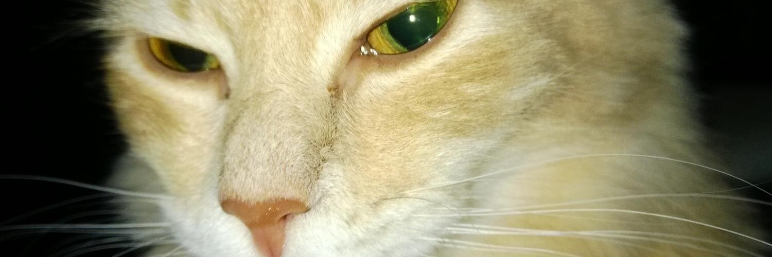 TheRackow's profile banner image