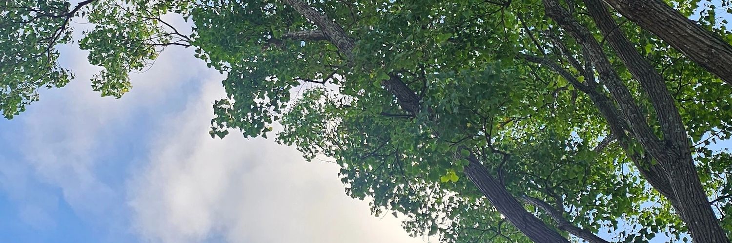 natureluv298's profile banner image