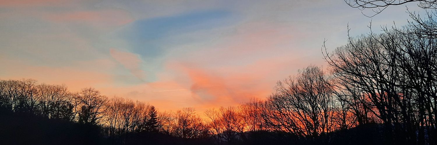 Charles Allison banner