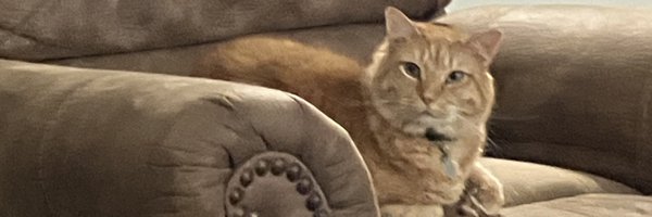 GaplinaComix Profile Banner