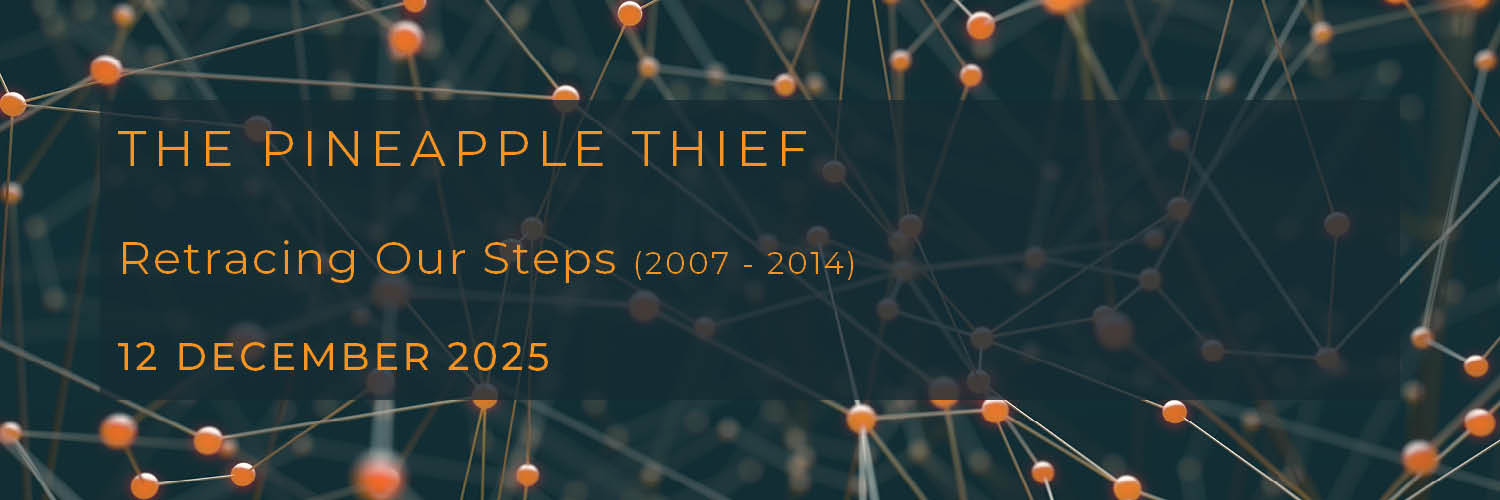 The Pineapple Thief banner