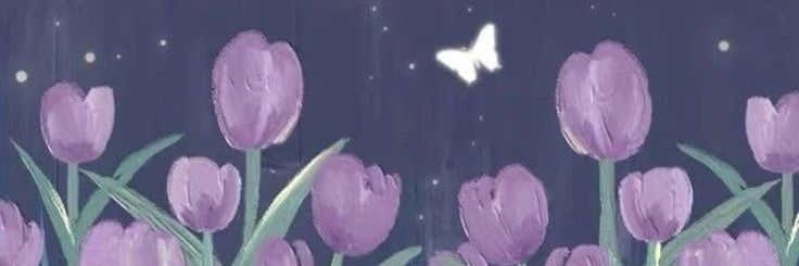 ys banner
