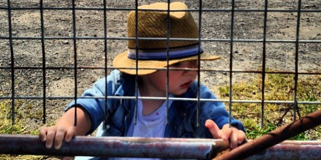 Michael Platt banner