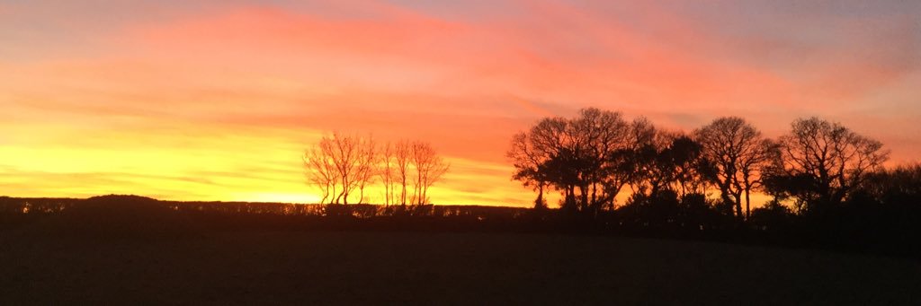 WebberHillFarm's profile banner image