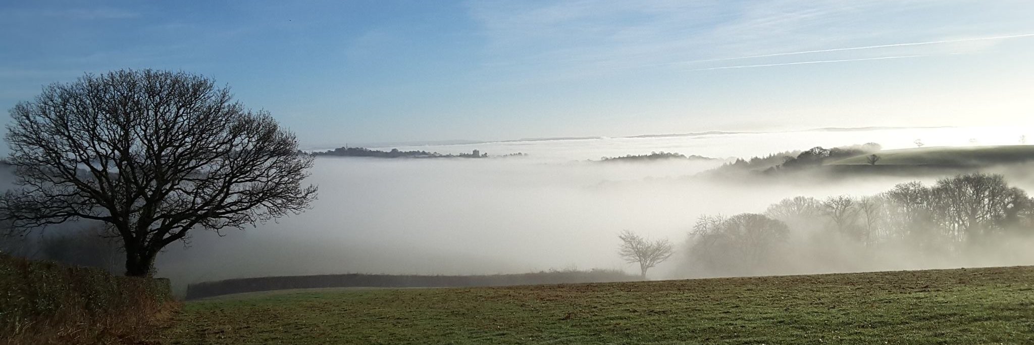 Express & Echo banner