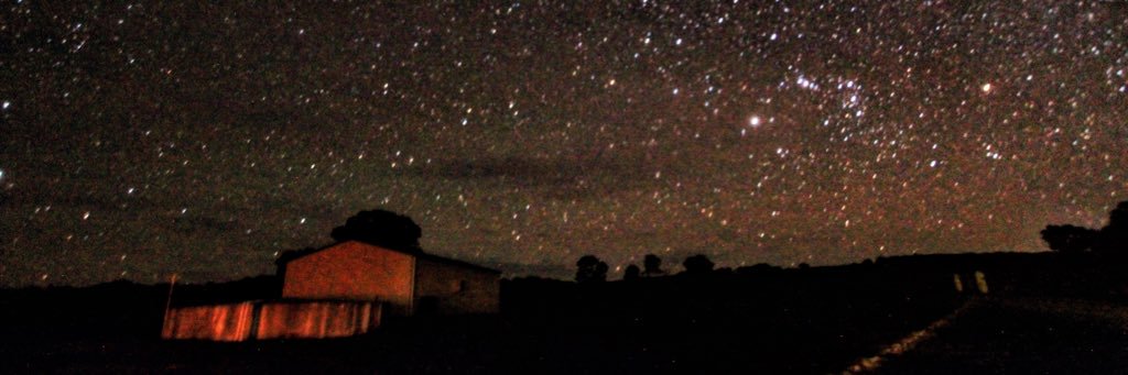 Mitchell Squires banner