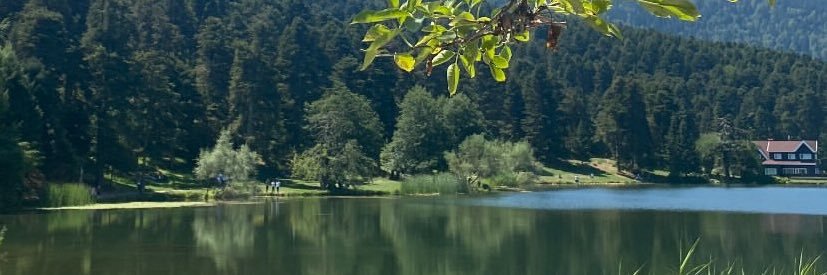 ‏❀🐚 ✩* ࿔*:･ banner