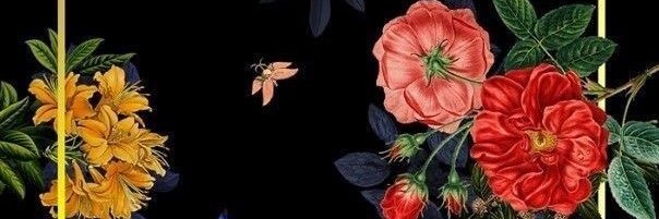 osymo76's profile banner image
