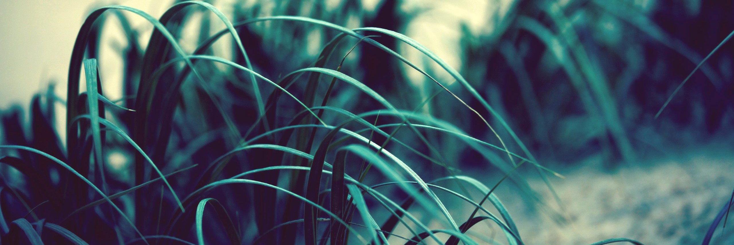 alt3rnata's profile banner image