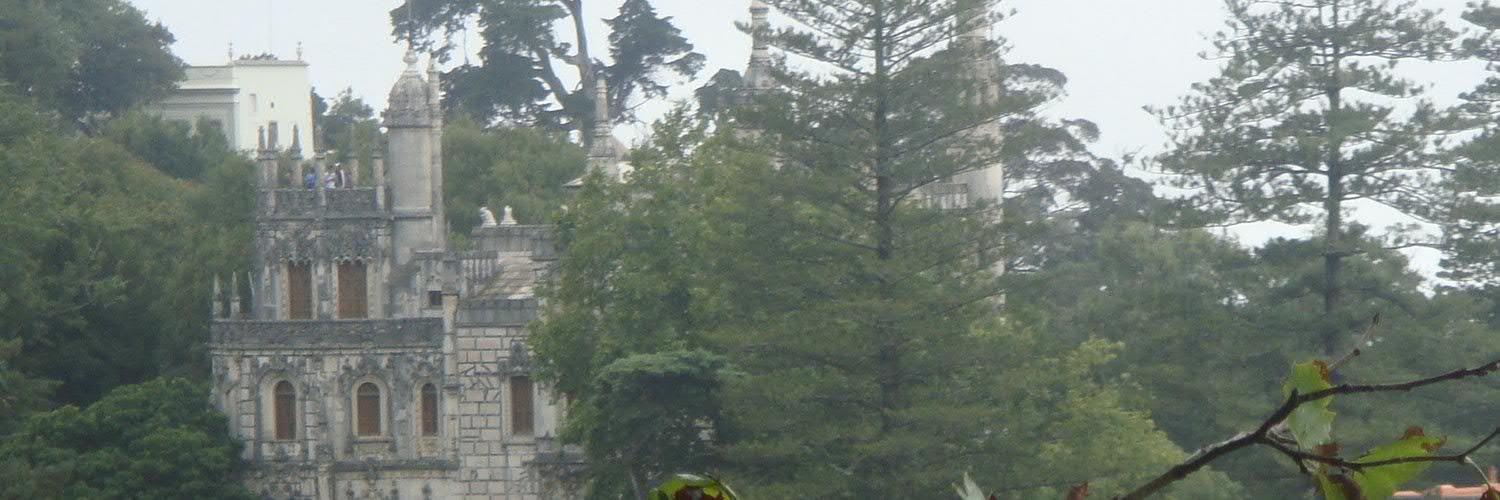 kotkerk's profile banner image