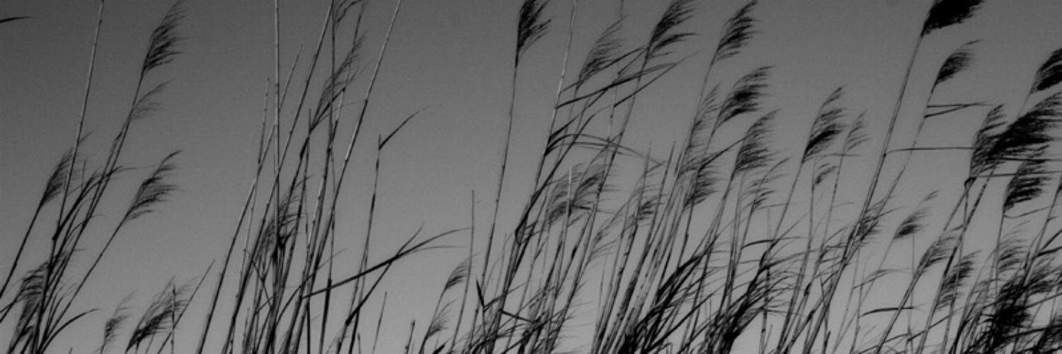 Arthur Westover banner