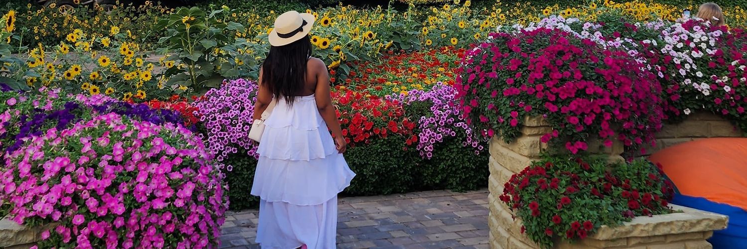 Sithandwa Nomoyi banner