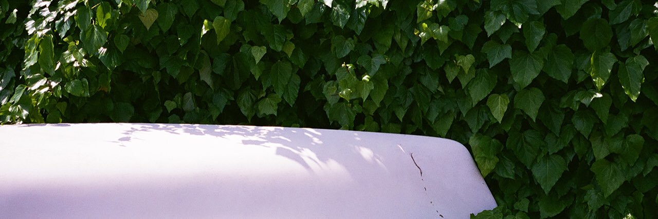maple_hu's profile banner image