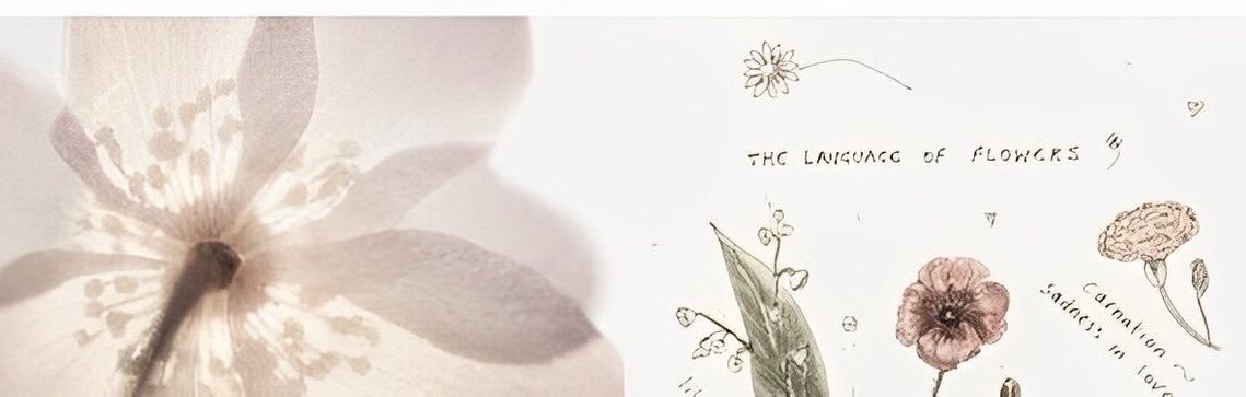 TiffanieSamx's profile banner image