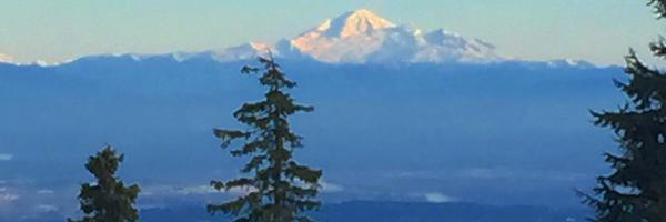 amy_bourne Profile Banner