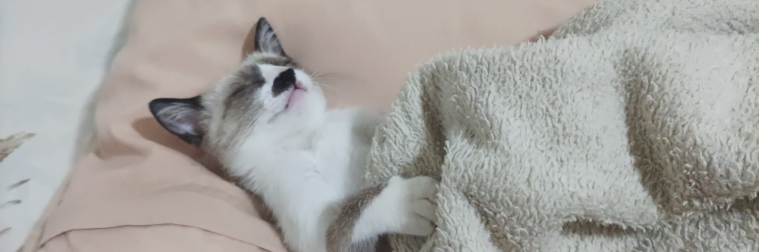 obiewwl's profile banner image