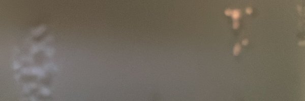 Elizabethxbnu Profile Banner