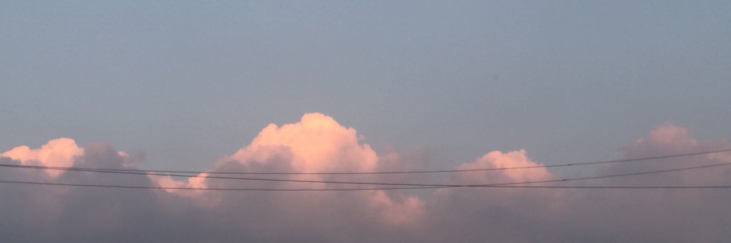 nnchnnch's profile banner image