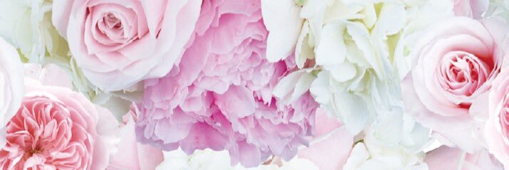 mimiminsb's profile banner image