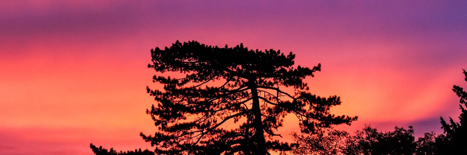 boiyardeee's profile banner image