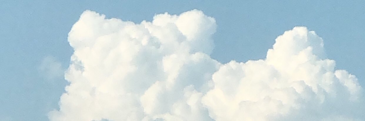 AMAMM_'s profile banner image