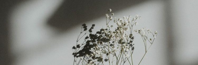 rrrdsty's profile banner image