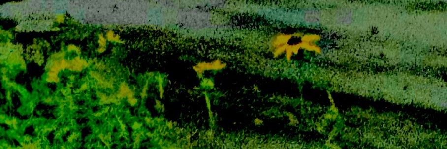 cranedime's profile banner image