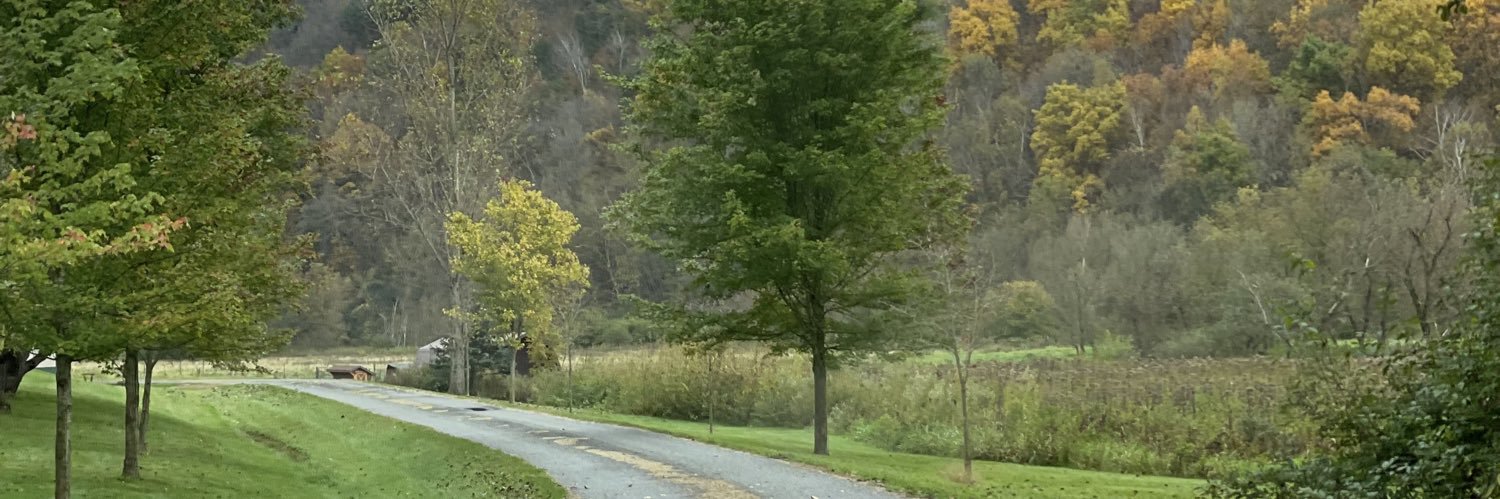 stephgphillips's profile banner image