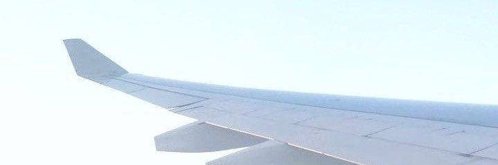 Arter 🥀 banner
