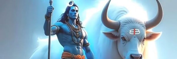 ParamSheel49479 Profile Banner