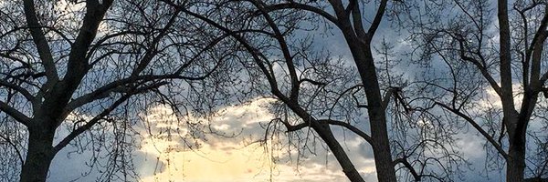 DrSamiraJeimy Profile Banner