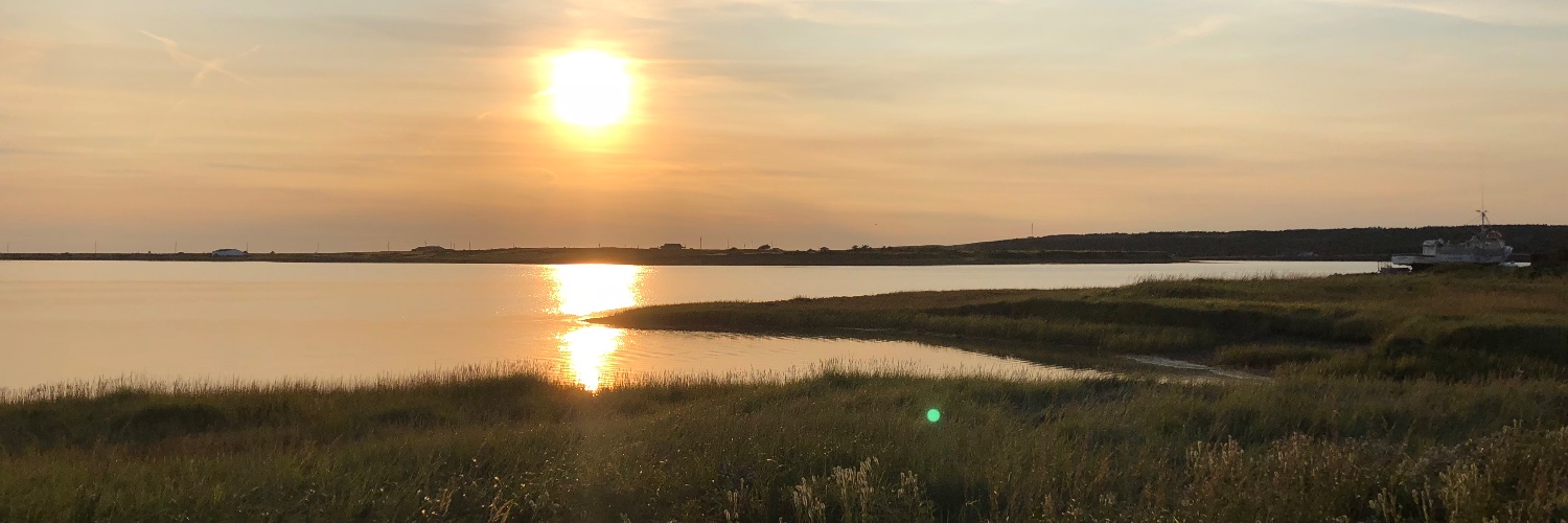 Bethann McLaren banner