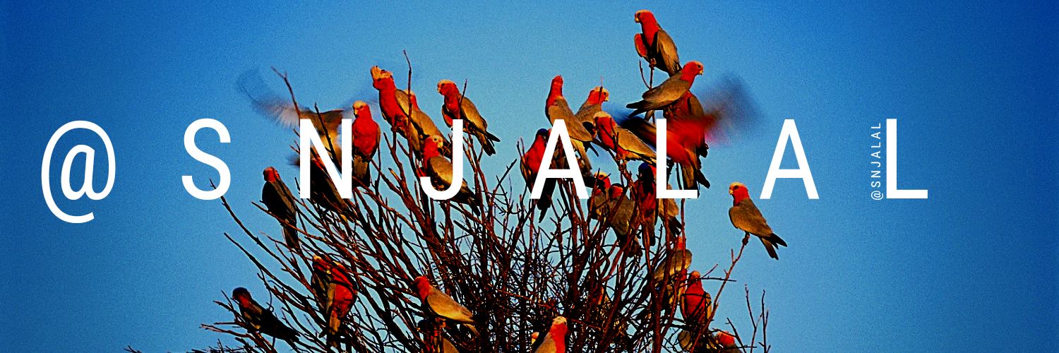 snjalal's profile banner image