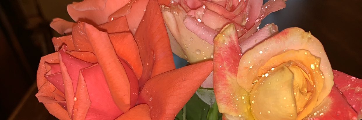 imauntbev's profile banner image