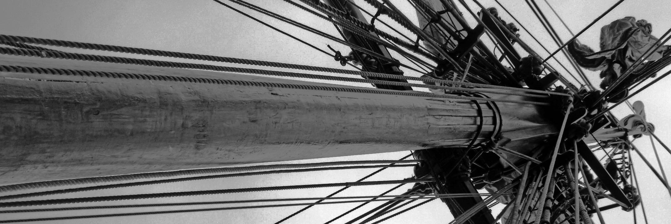 Merran Williams banner